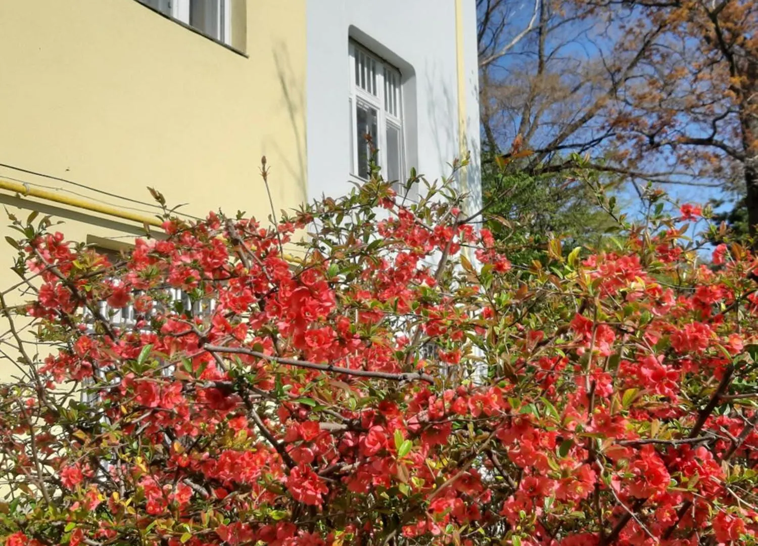 Green Hill Apartment Budapest Ungheria
